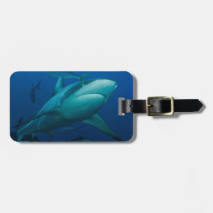 Shark Luggage Tag