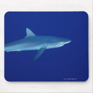 Shark Mouse Mat