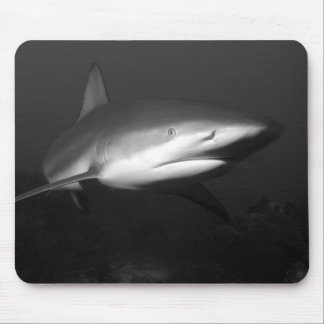 Shark Mouse Mat