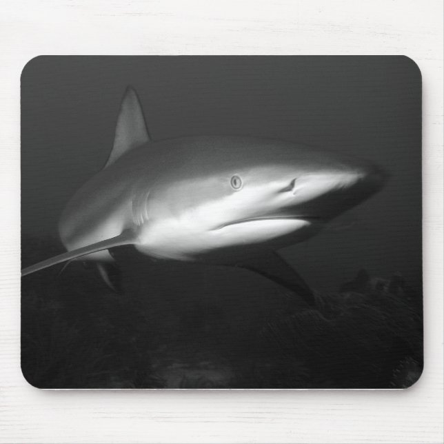 Shark Mouse Mat (Front)