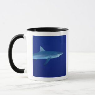 Shark Mug