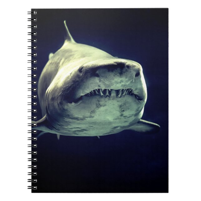 Shark Notebook (Front)