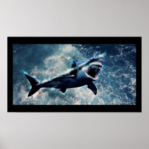 Shark Poster