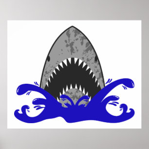 Shark Poster