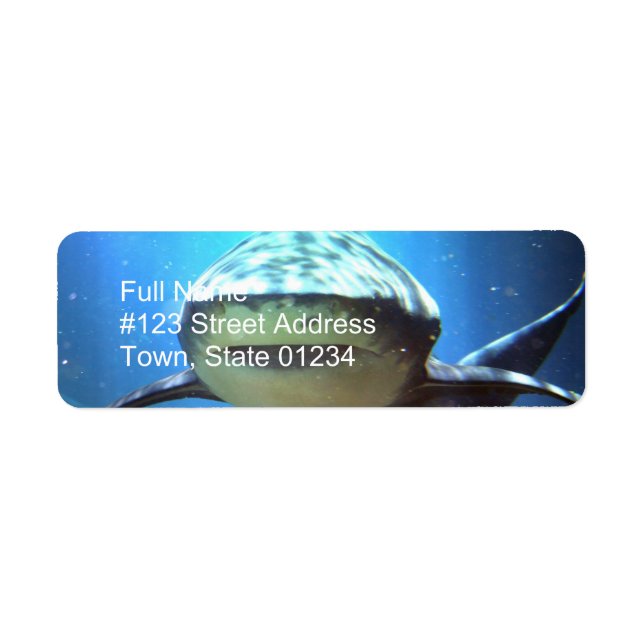 Shark Return Address Label (Front)
