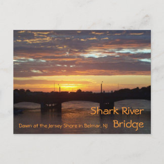 Shark River Bridge Postcard