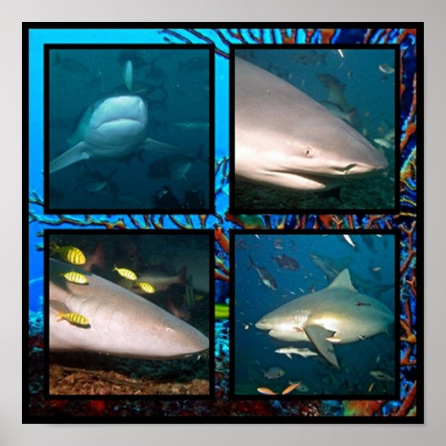 Shark scenes collage Poster (Front)