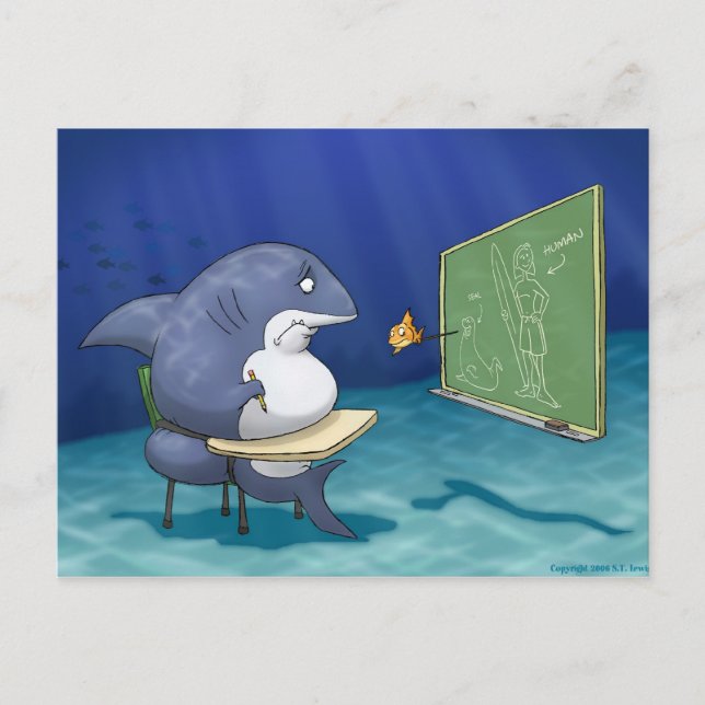 Shark School Postcard (Front)