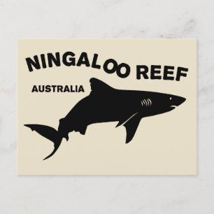 Shark Scuba Diving In Australia, Ningaloo Reef Postcard