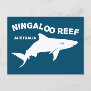 Shark Scuba Diving In Australia, Ningaloo Reef Postcard