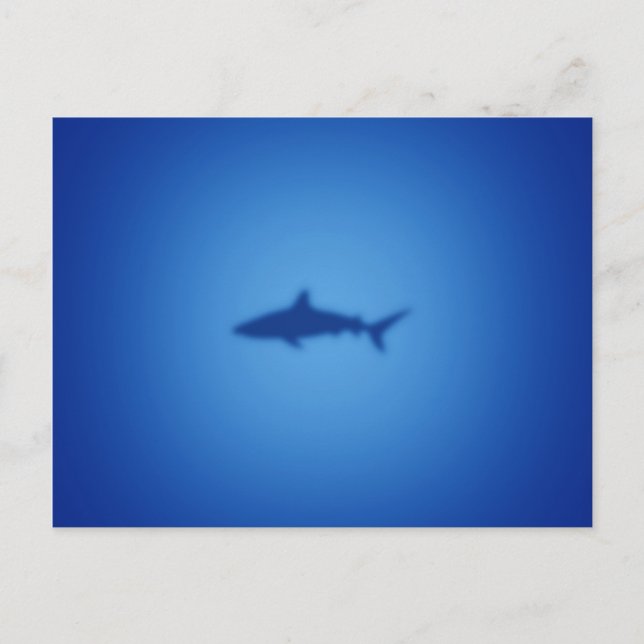 Shark silhouette postcard (Front)