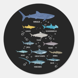 Shark Species Shark Faces Marine Biology Classic Round Sticker