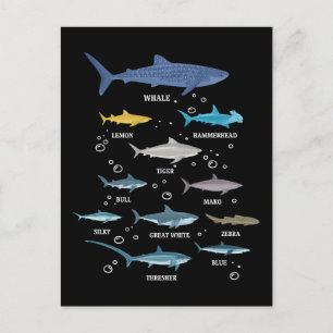 Shark Species Shark Faces Marine Biology Holiday Postcard