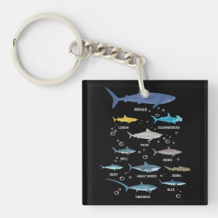 Shark Species Shark Faces Marine Biology Key Ring