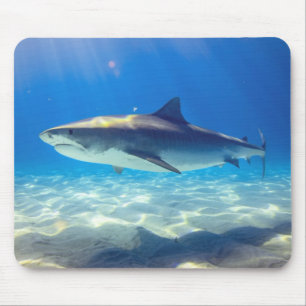Shark Swimming Blue Ocean Water Mouse Mat