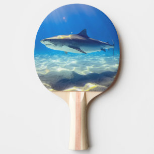 Shark Swimming Blue Ocean Water Ping Pong Paddle