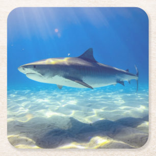 Shark Swimming Blue Ocean Water Square Paper Coaster