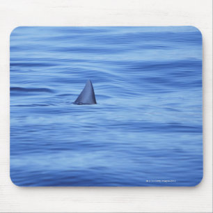 Shark swimming in ocean water mouse mat