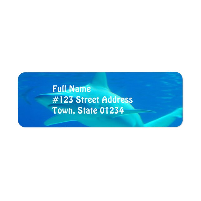 Shark Swimming Mailing Labels (Front)