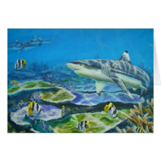 shark tahiti