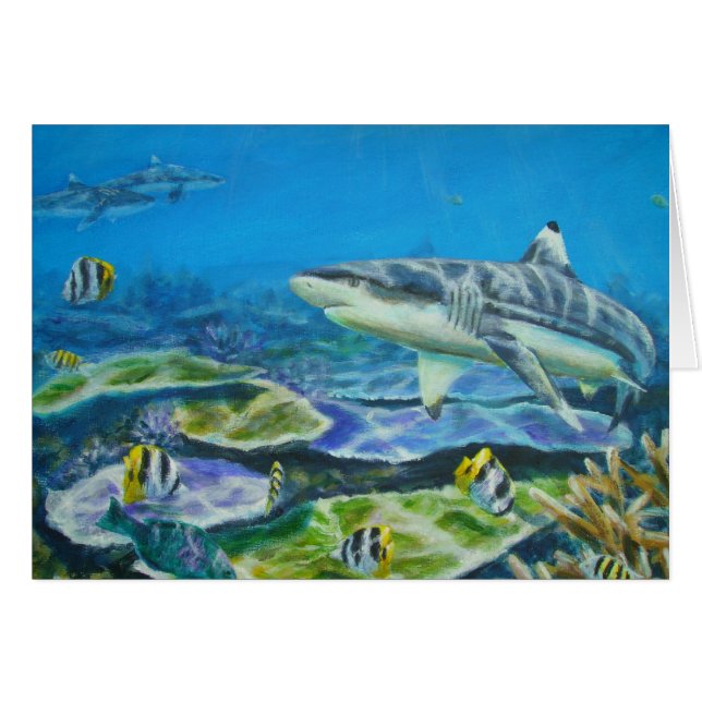 shark tahiti (Front Horizontal)