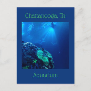 Shark Tank at Chattanooga Tennessee Postcard