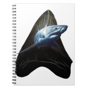 Shark Tooth 2019 Notebook