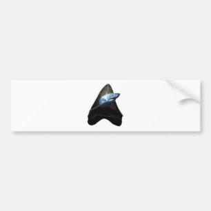 Shark Tooth Bumper Sticker