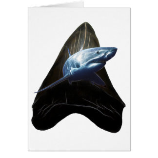 Shark Tooth Card