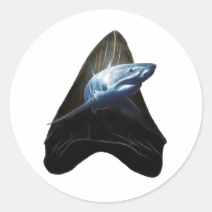 Shark Tooth Classic Round Sticker