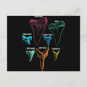 Shark Tooth Hunting - Crazy Shark Gifts Holiday Postcard