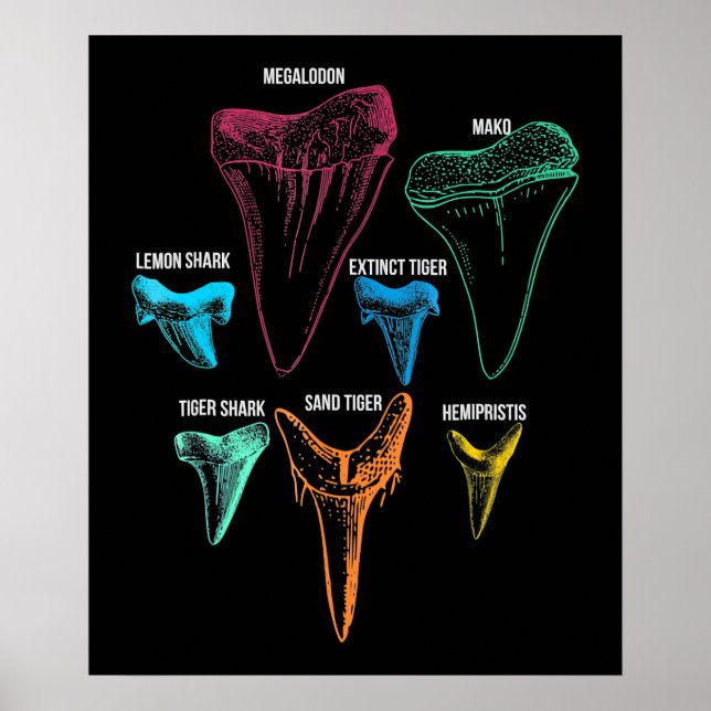 Shark Tooth Hunting - Crazy Shark Gifts Poster (Front)