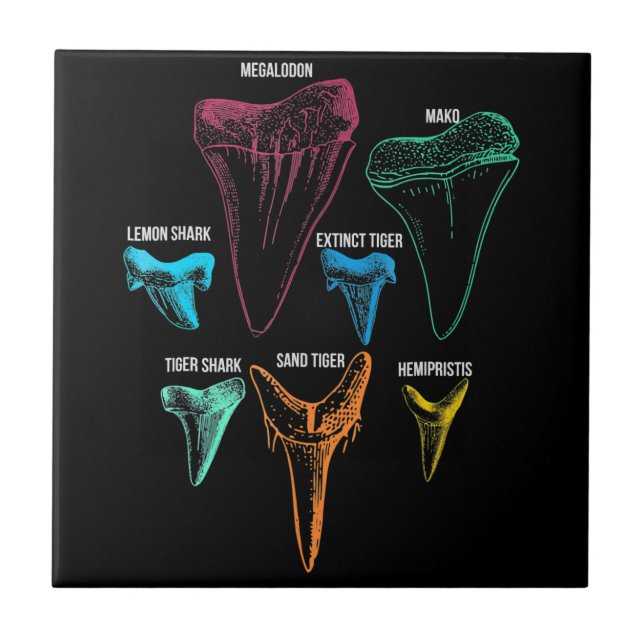Shark Tooth Hunting - Crazy Shark Gifts Tile (Front)