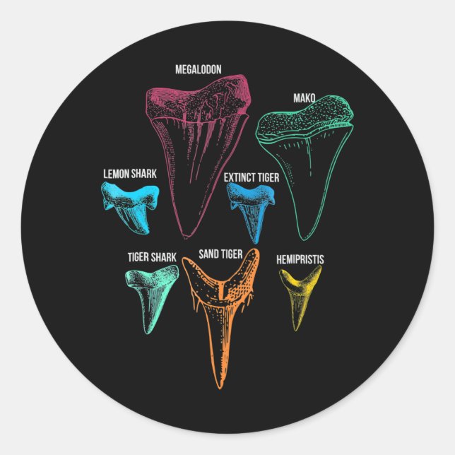 Shark Tooth Hunting Identity Key Classic Round Sticker (Front)