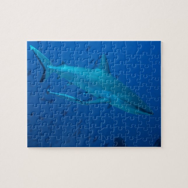 Shark Underwater Photograph Jigsaw Puzzle (Horizontal)