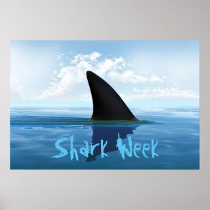 Shark Week Poster