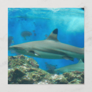 Shark with Reef Invitations