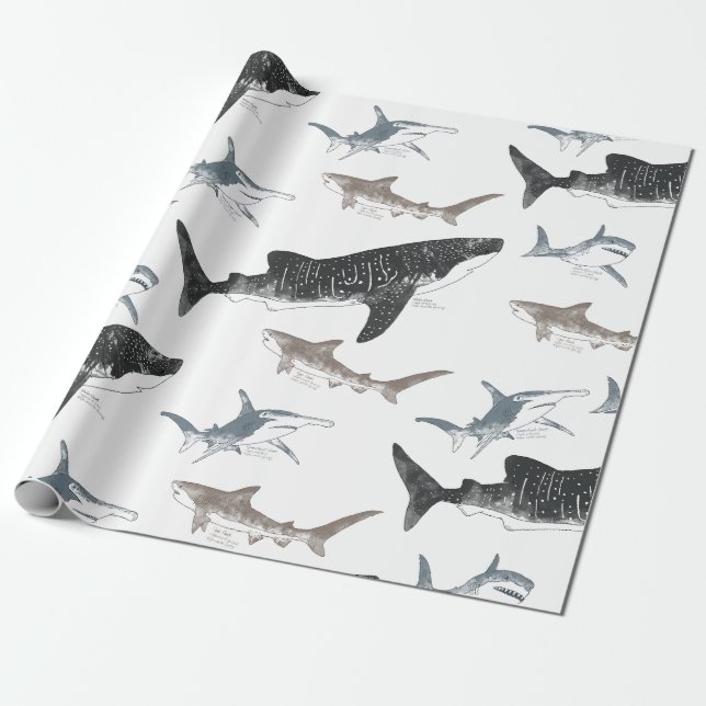 Shark Wrapping paper (Unrolled)