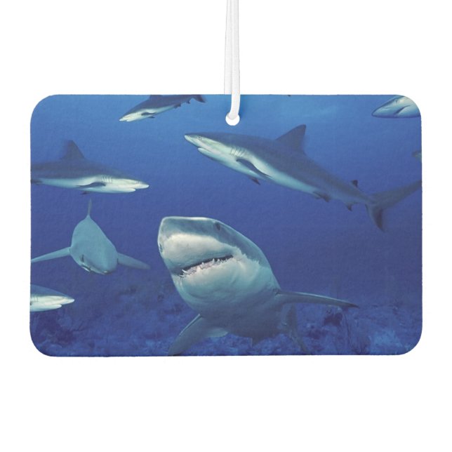 Sharks Air Freshener (Front)