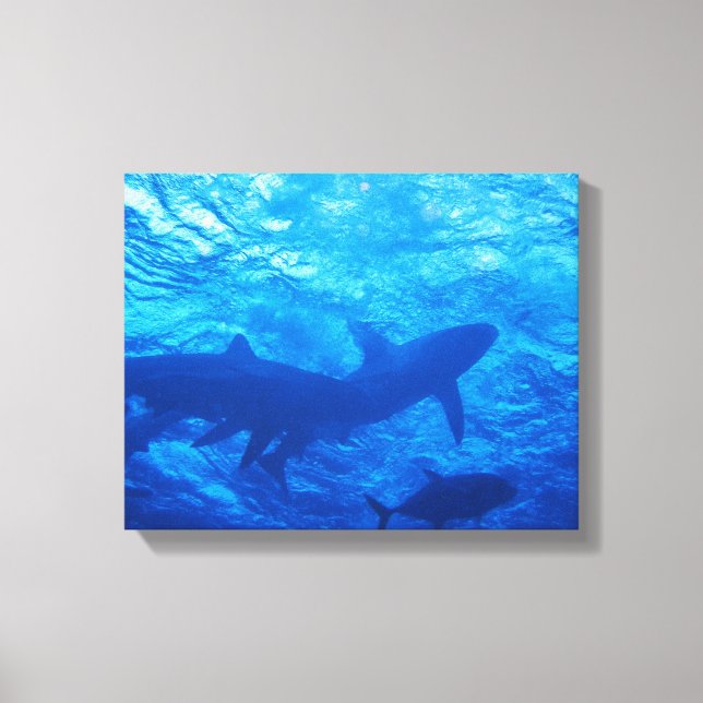 Sharks at the Blue Hole Canvas Print (Front)
