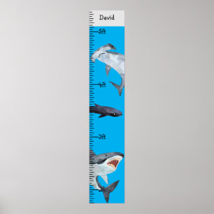 Sharks Boy Name Growth Chart Personalised