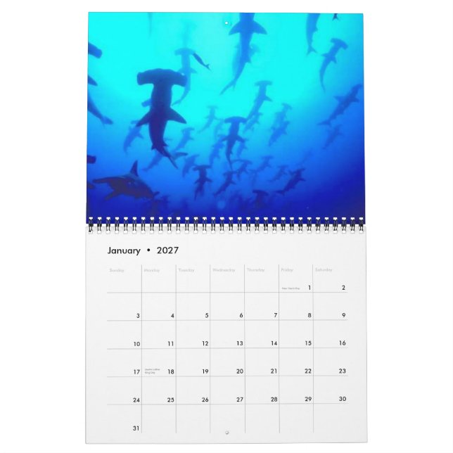 Sharks Calendar 2013 (Jan 2027)