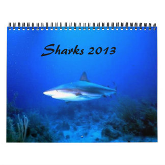 Sharks Calendar 2013