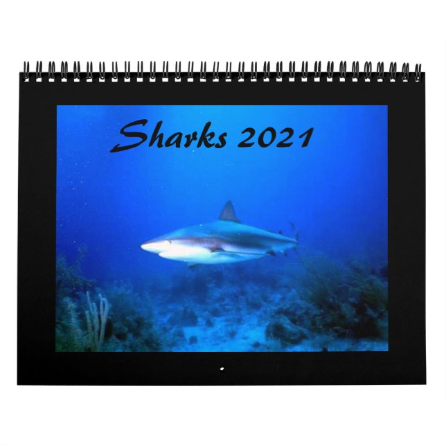 Sharks Calendar 2021 (Cover)