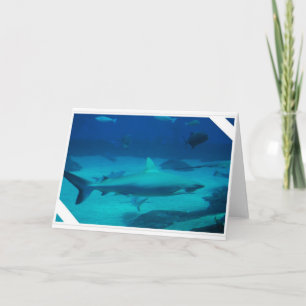 Sharks Card