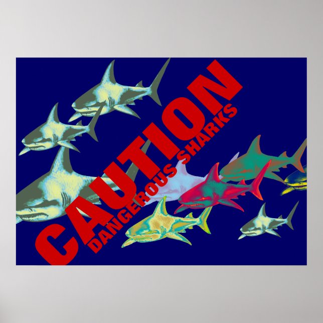 sharks, caution, dangerous poster (Front)