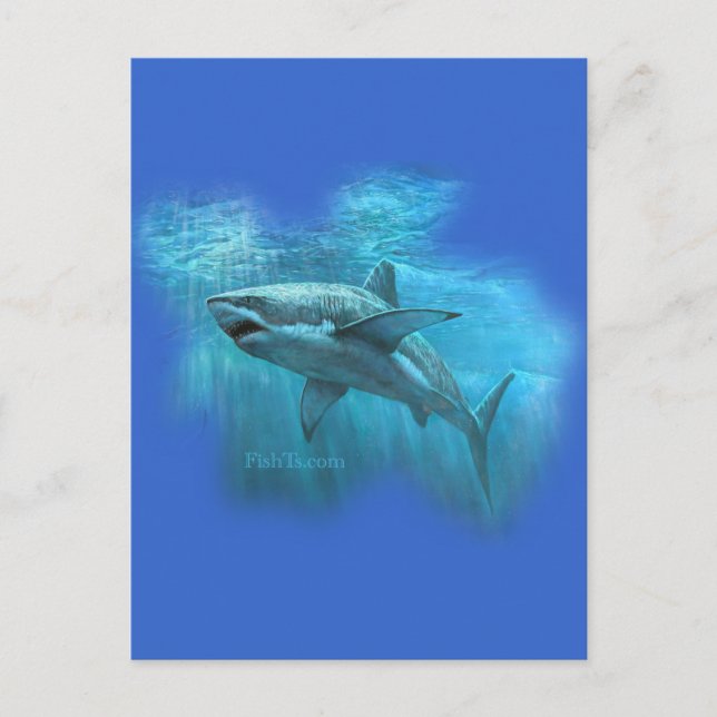 Sharks Collection by FishTs.com Postcard (Front)