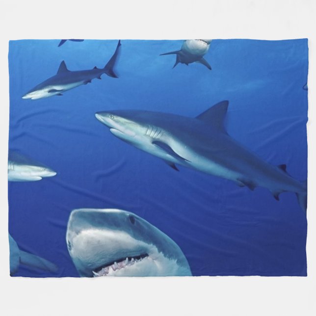 SHARKS EVERYWHERE FLEECE BLANKET (Front (Horizontal))