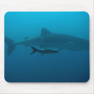 Sharks Fish Ocean Water Tropical Beach Peace Love Mouse Mat