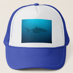 Sharks Fish Ocean Water Tropical Beach Peace Love Trucker Hat